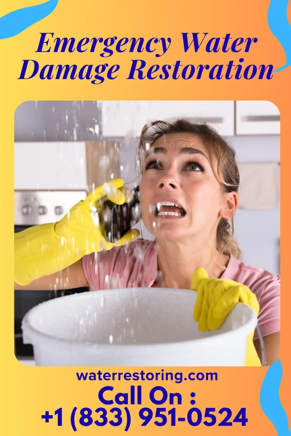 Emergency Water Damage Restoration in Silverhill, AL