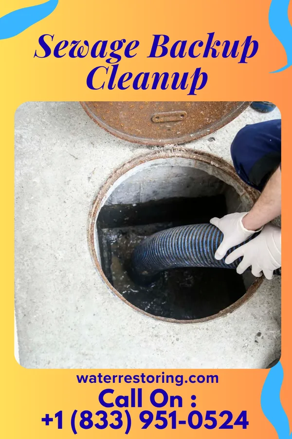 Sewage Backup Cleanup in Silverhill, AL